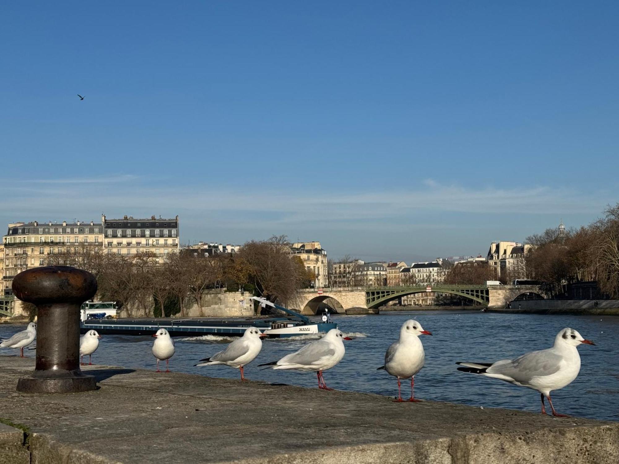New Private Center - Les Arenes Pantheon Notre-dame Jussieu Jardin Des Plantes Quai De Seine Appartamento Parigi